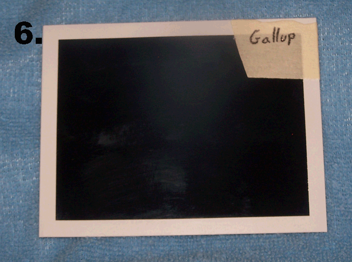 Polaroid Web1 Polaroid Web1